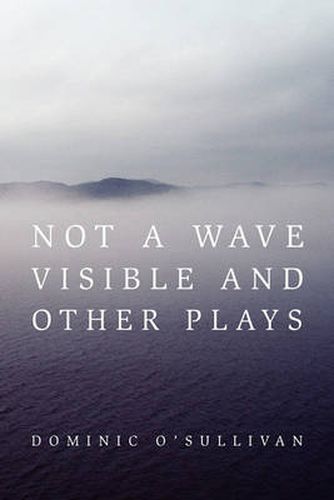 Cover image for Not a Wave Visible and other plays