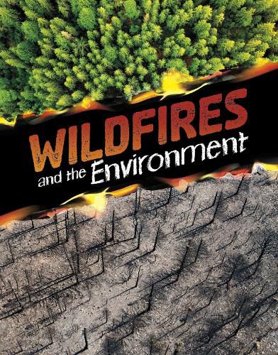 Cover image for Wildfires and the Environment