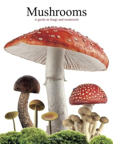Cover image for Mushrooms