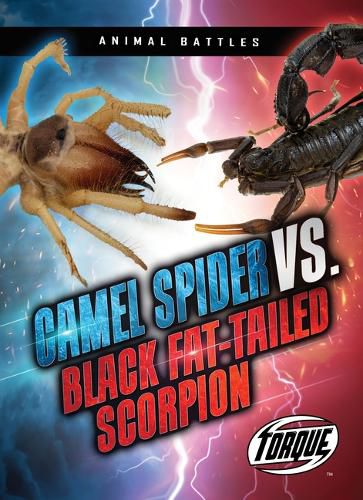 Cover image for Camel Spider vs. Black Fat-Tailed Scorpion