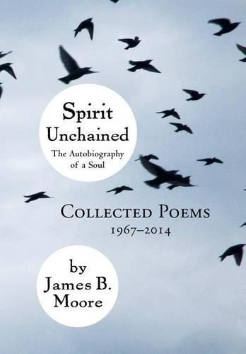 Cover image for Spirit Unchained