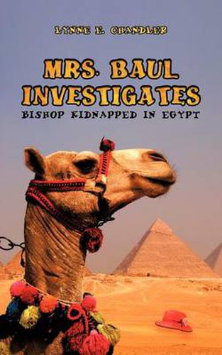 Cover image for Mrs. Baul Investigates