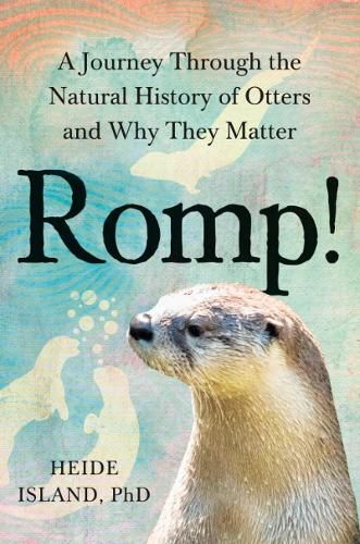 Cover image for Romp!