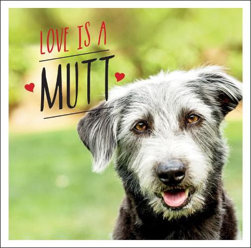 Cover image for Love is a Mutt: A Dog-Tastic Celebration of the World's Cutest Mixed and Cross Breeds