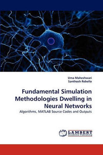 Cover image for Fundamental Simulation Methodologies Dwelling in Neural Networks