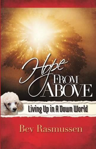 Cover image for Hope From Above