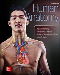 Cover image for Loose Leaf Version for Human Anatomy