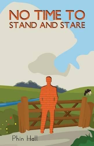 Cover image for No Time to Stand and Stare