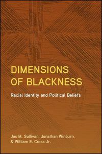 Cover image for Dimensions of Blackness: Racial Identity and Political Beliefs