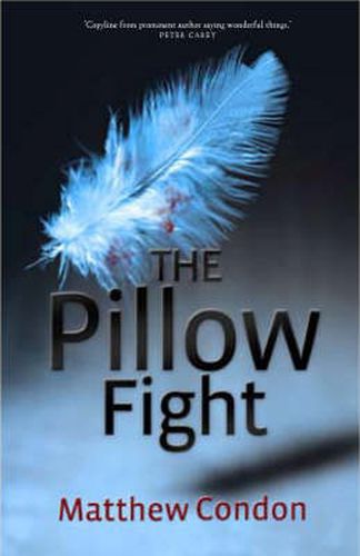 Cover image for The Pillow Fight