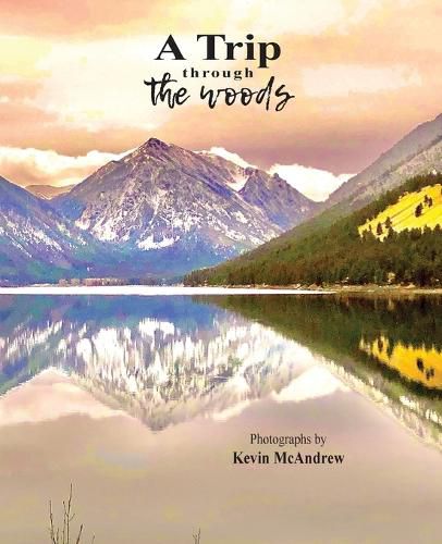 Cover image for A Trip Through The Woods