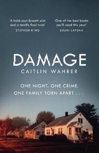 Cover image for Damage: An unputdownable and emotionally gripping debut with a twist you won't see coming