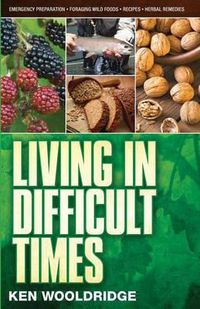 Cover image for Living in Difficult Times