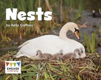 Cover image for Nests