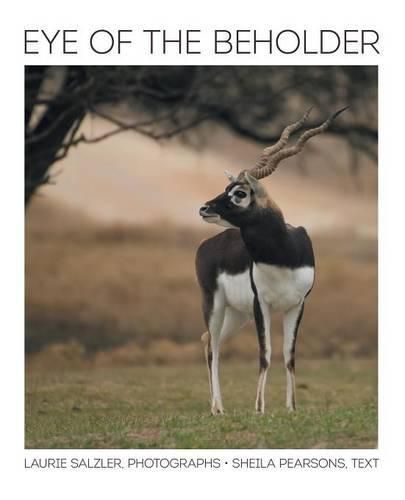 Cover image for Eye of the Beholder