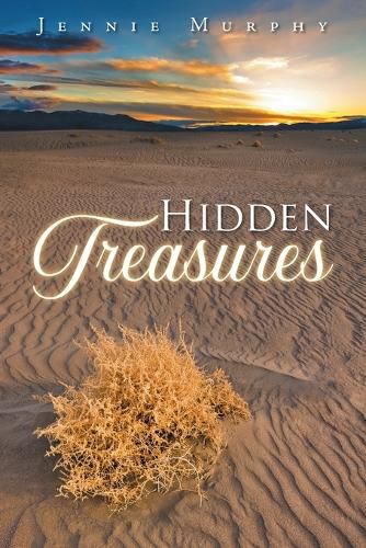 Cover image for Hidden Treasures