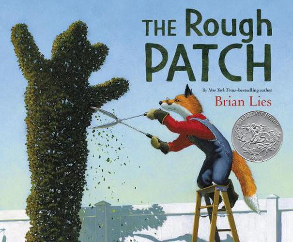 Cover image for The Rough Patch