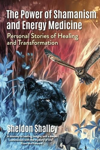 Cover image for The Power of Shamanism and Energy Medicine