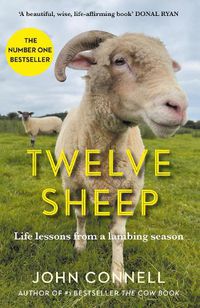 Cover image for Twelve Sheep