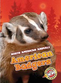 Cover image for American Badgers