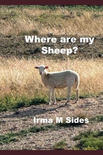 Cover image for Where are my Sheep?