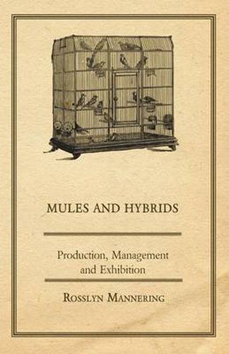 Cover image for Mules and Hybrids - Production, Management and Exhibition