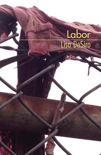 Cover image for Labor