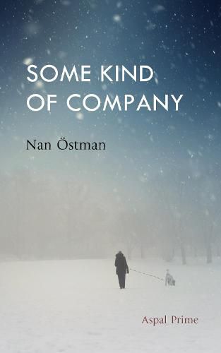 Cover image for Some Kind of Company