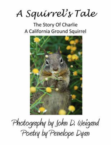 Cover image for A Squirrel's Tale: The Story of Charlie, a California Ground Squirrel