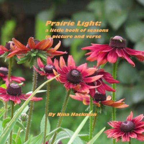 Cover image for Prairie Light: a little book of seasons in picture and verse