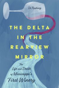 Cover image for The Delta in the Rearview Mirror