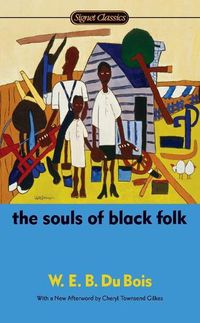 Cover image for The Souls of Black Folk