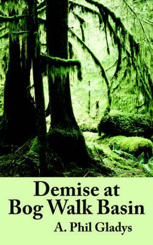 Cover image for Demise at Bog Walk Basin