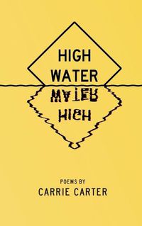 Cover image for High Water