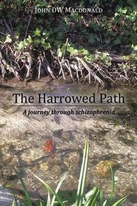 Cover image for The Harrowed Path