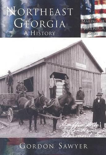 Cover image for Northeast Georgia: A History