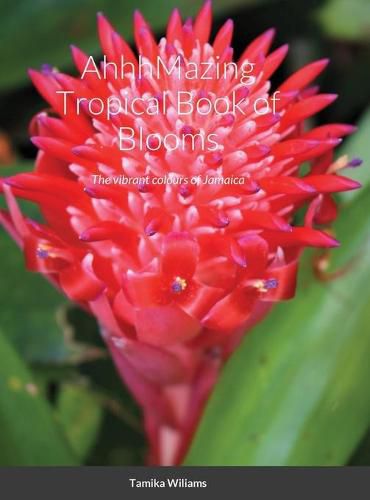 Cover image for AhhhMazing Tropical Book of Blooms