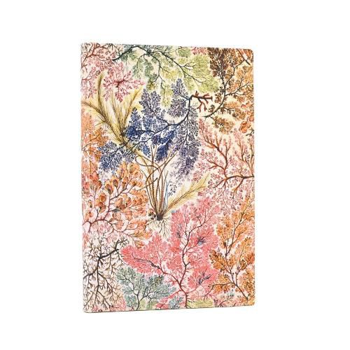 Cover image for Anemone (William Kilburn) Mini Unlined Softcover Flexi Journal (Elastic Band Closure)