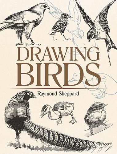 Cover image for Drawing Birds