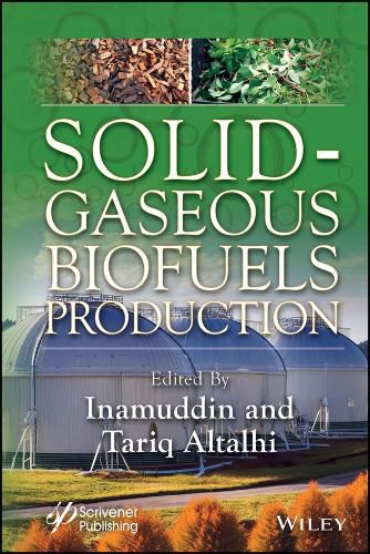 Cover image for Solid-Gaseous Biofuels Production