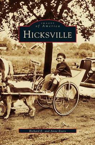 Cover image for Hicksville