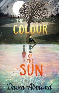 Cover image for The Colour of the Sun