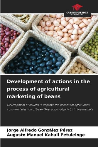 Cover image for Development of actions in the process of agricultural marketing of beans