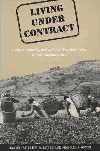 Cover image for Living Under Contract: Contract Farming and Agrarian Transformation in Sub-Saharan Africa