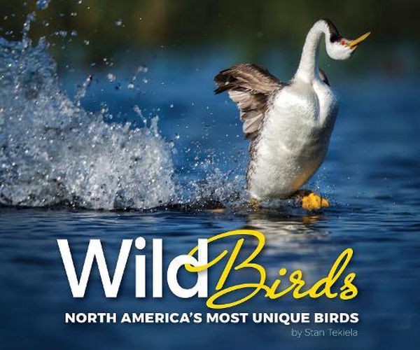 Cover image for Wild Birds: North America's Most Unique Birds