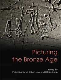 Cover image for Picturing the Bronze Age