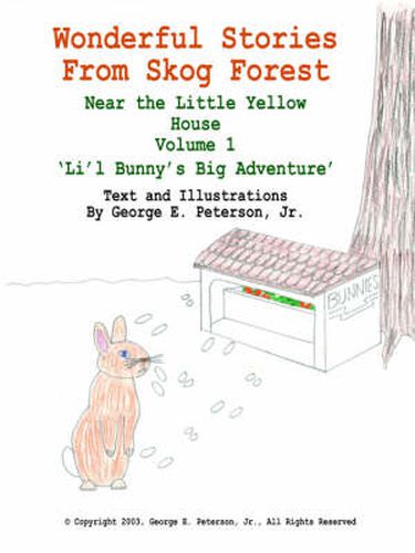 Cover image for Wonderful Stories From Skog Forest: Near the Little Yellow House Volume 1 'Li'l Bunny's Big Adventure