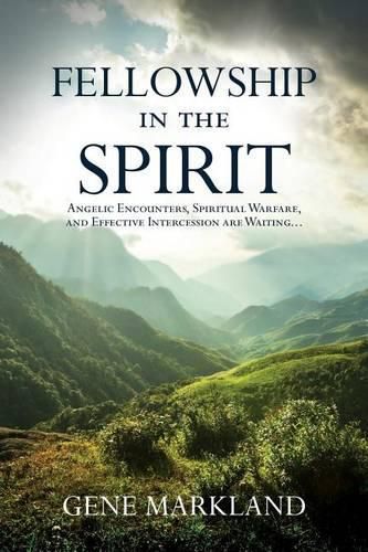 Cover image for Fellowship in the Spirit: Angelic Encounters, Spiritual Warfare, and Effective Intercession Are Waiting...