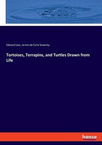 Cover image for Tortoises, Terrapins, and Turtles Drawn from Life