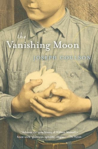Cover image for Vanishing Moon